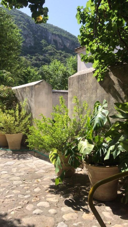 Casa Rural El Vihuelo Эль-Боске Экстерьер фото