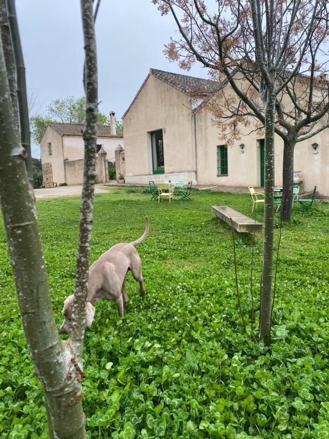 Casa Rural El Vihuelo Эль-Боске Экстерьер фото