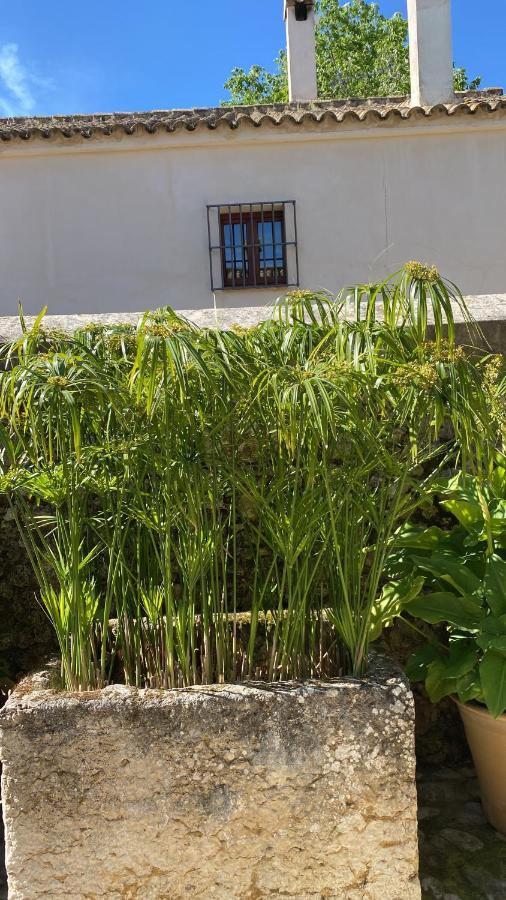 Casa Rural El Vihuelo Эль-Боске Экстерьер фото