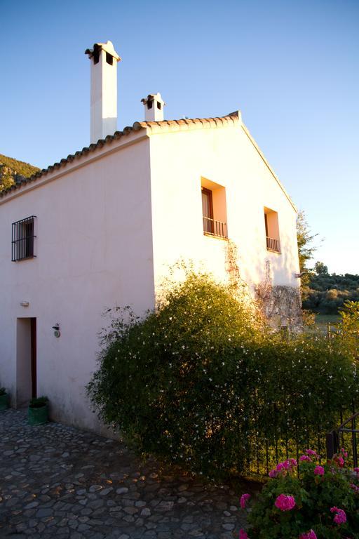 Casa Rural El Vihuelo Эль-Боске Экстерьер фото