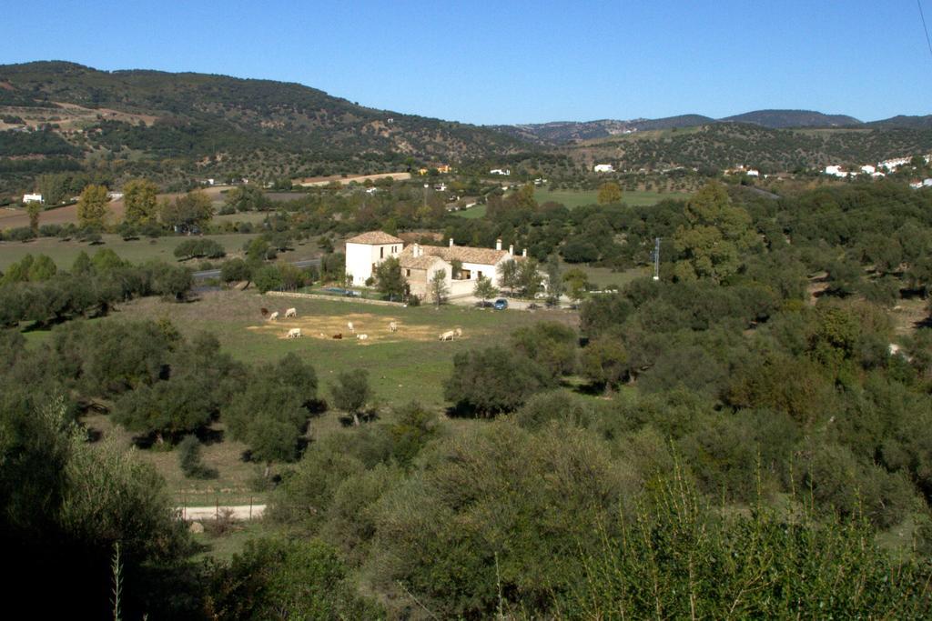 Casa Rural El Vihuelo Эль-Боске Экстерьер фото